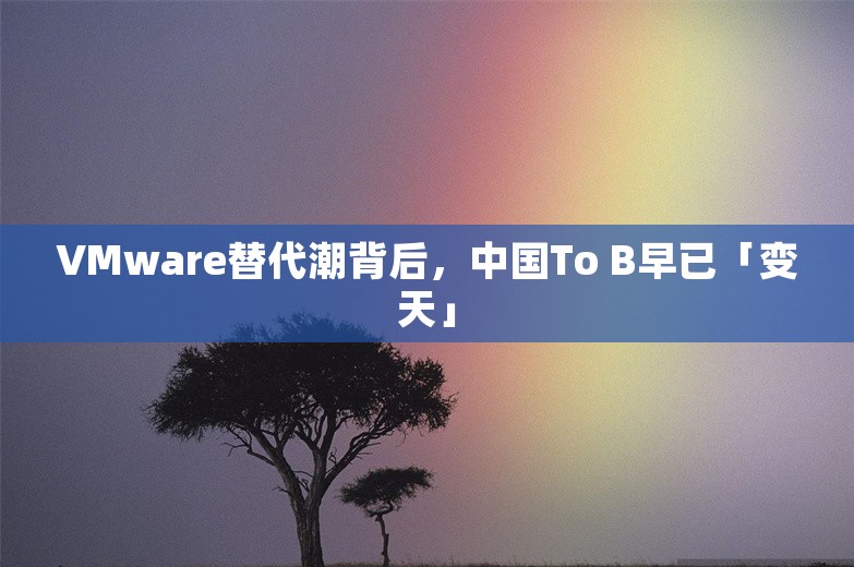 VMware替代潮背后，中国To B早已「变天」