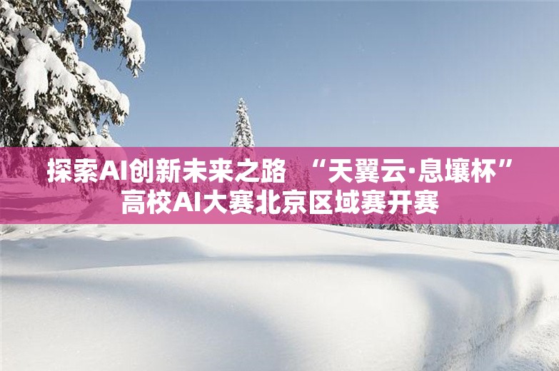 探索AI创新未来之路  “天翼云·息壤杯”高校AI大赛北京区域赛开赛