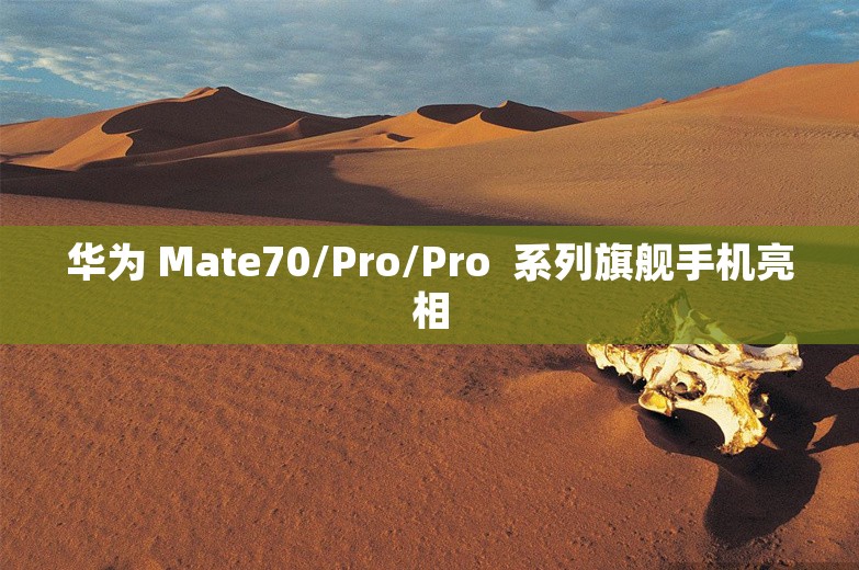 华为 Mate70/Pro/Pro  系列旗舰手机亮相