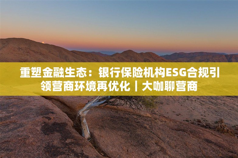 重塑金融生态：银行保险机构ESG合规引领营商环境再优化｜大咖聊营商