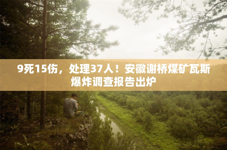 9死15伤，处理37人！安徽谢桥煤矿瓦斯爆炸调查报告出炉