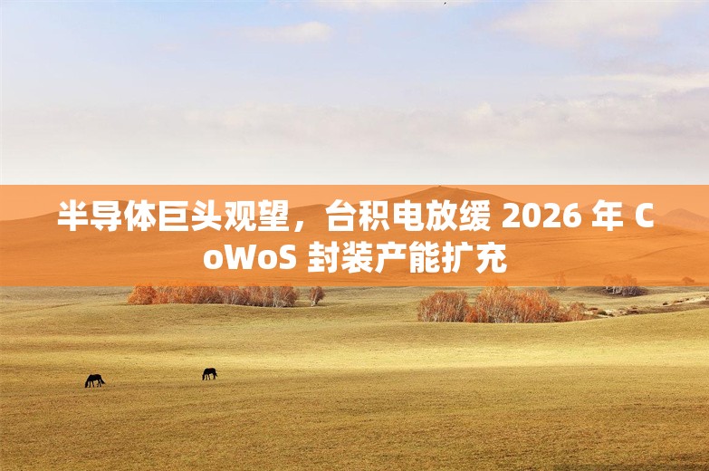 半导体巨头观望，台积电放缓 2026 年 CoWoS 封装产能扩充