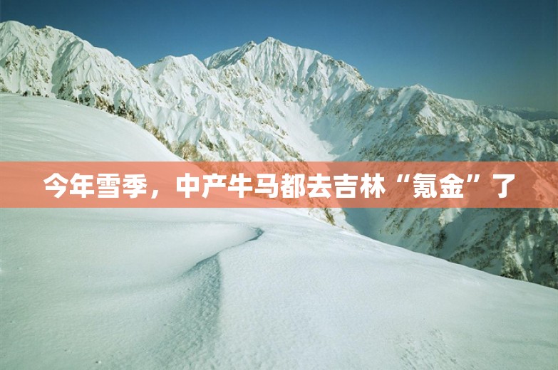 今年雪季，中产牛马都去吉林“氪金”了