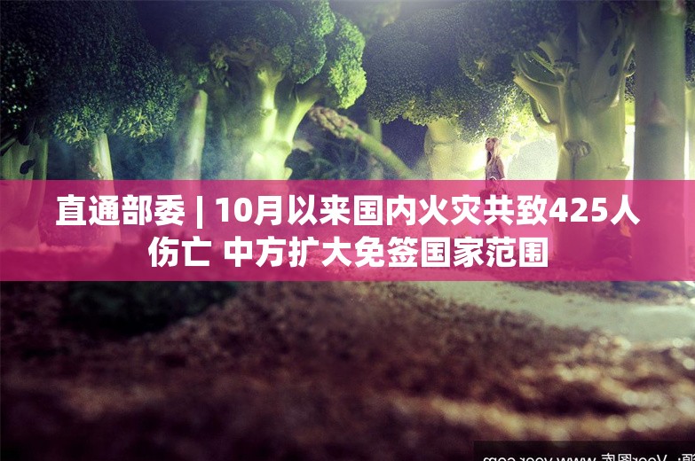 直通部委 | 10月以来国内火灾共致425人伤亡 中方扩大免签国家范围