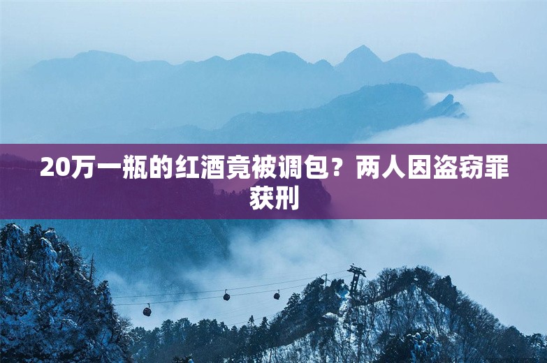 20万一瓶的红酒竟被调包？两人因盗窃罪获刑