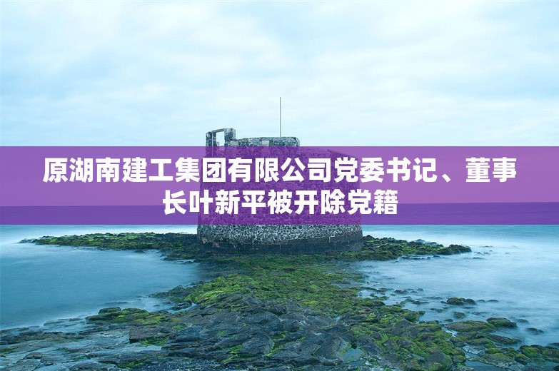 原湖南建工集团有限公司党委书记、董事长叶新平被开除党籍