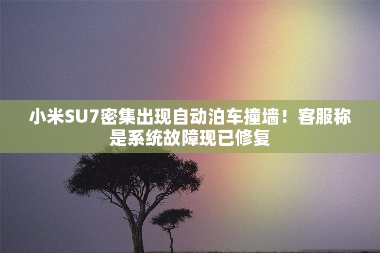 小米SU7密集出现自动泊车撞墙！客服称是系统故障现已修复