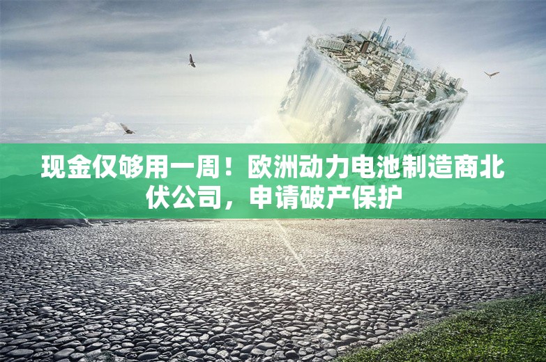 现金仅够用一周！欧洲动力电池制造商北伏公司，申请破产保护