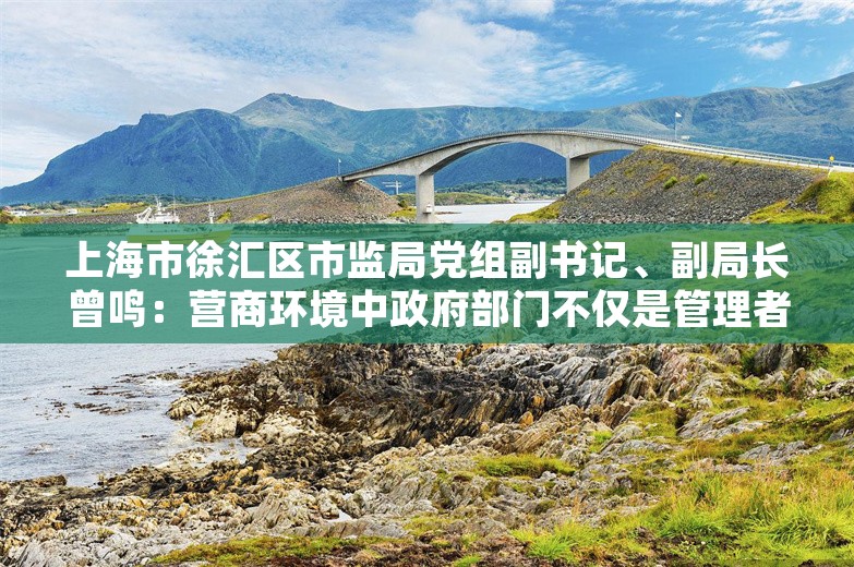 上海市徐汇区市监局党组副书记、副局长曾鸣：营商环境中政府部门不仅是管理者，还要是护航者｜大咖聊营商