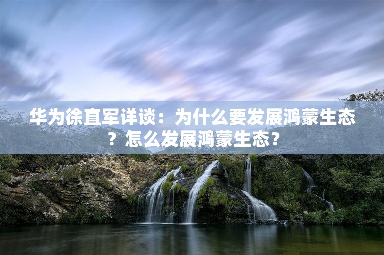 华为徐直军详谈：为什么要发展鸿蒙生态？怎么发展鸿蒙生态？