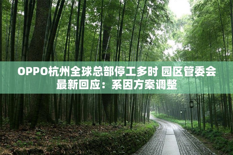 OPPO杭州全球总部停工多时 园区管委会最新回应：系因方案调整