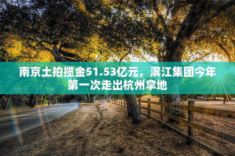 南京土拍揽金51.53亿元，滨江集团今年第一次走出杭州拿地