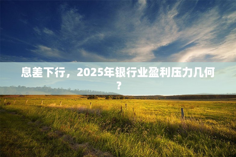 息差下行，2025年银行业盈利压力几何？