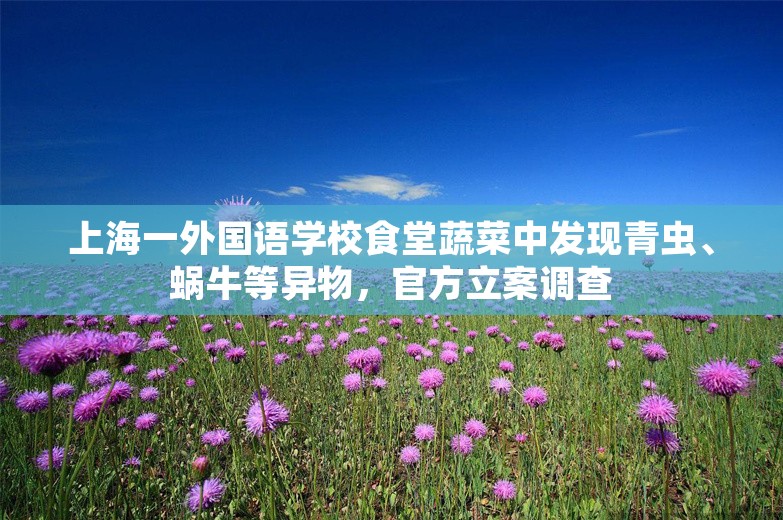 上海一外国语学校食堂蔬菜中发现青虫、蜗牛等异物，官方立案调查