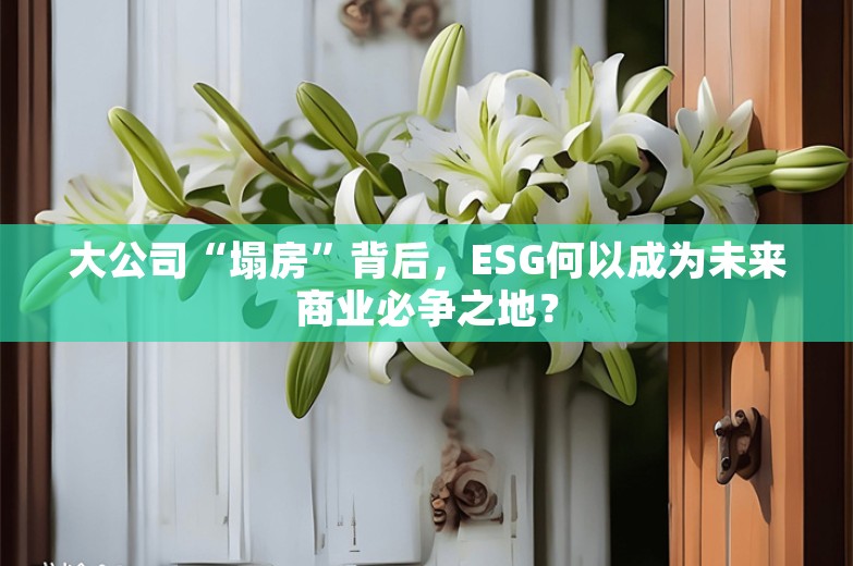 大公司“塌房”背后，ESG何以成为未来商业必争之地？