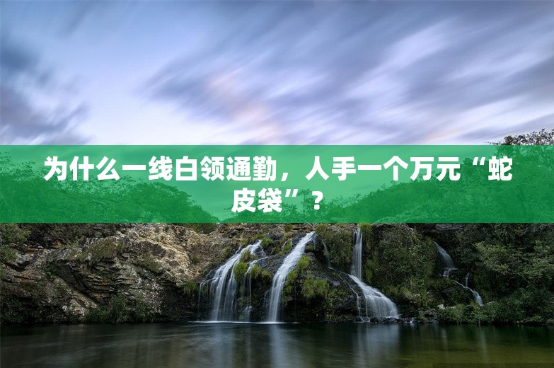 为什么一线白领通勤，人手一个万元“蛇皮袋”？