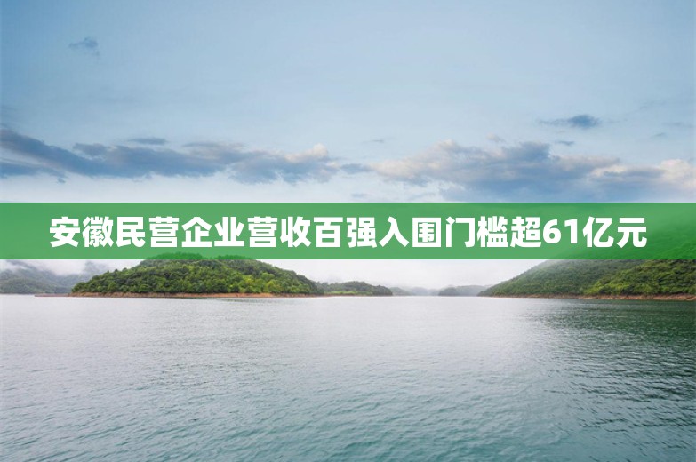 安徽民营企业营收百强入围门槛超61亿元