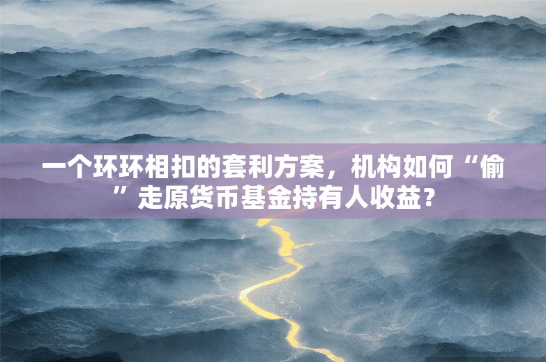 一个环环相扣的套利方案，机构如何“偷”走原货币基金持有人收益？