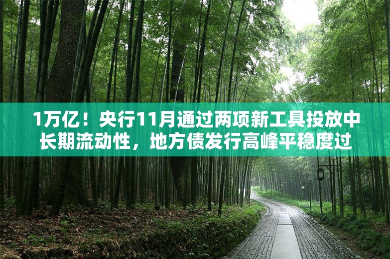 1万亿！央行11月通过两项新工具投放中长期流动性，地方债发行高峰平稳度过