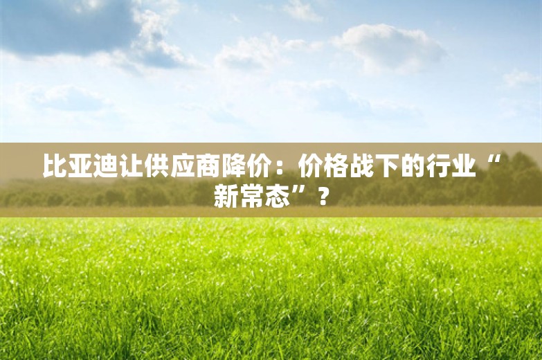 比亚迪让供应商降价：价格战下的行业“新常态”？