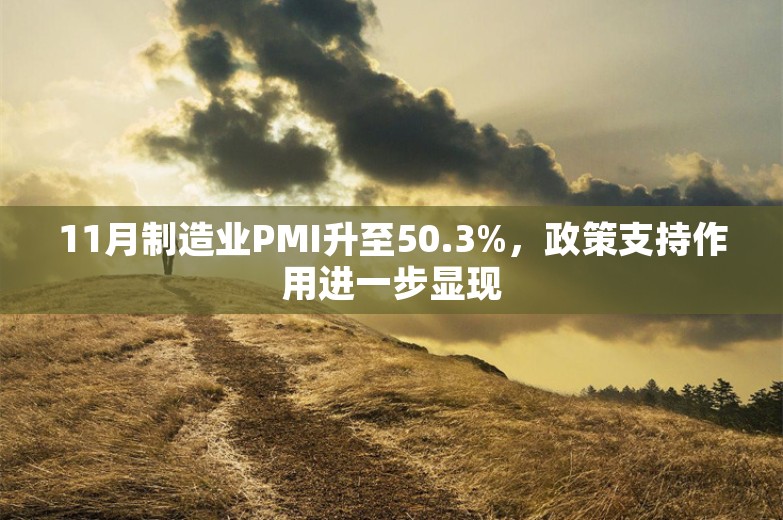 11月制造业PMI升至50.3%，政策支持作用进一步显现