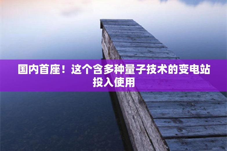 国内首座！这个含多种量子技术的变电站投入使用