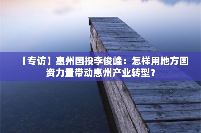 【专访】惠州国投李俊峰：怎样用地方国资力量带动惠州产业转型？