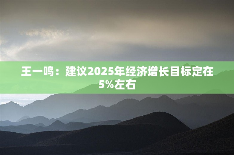 王一鸣：建议2025年经济增长目标定在5%左右