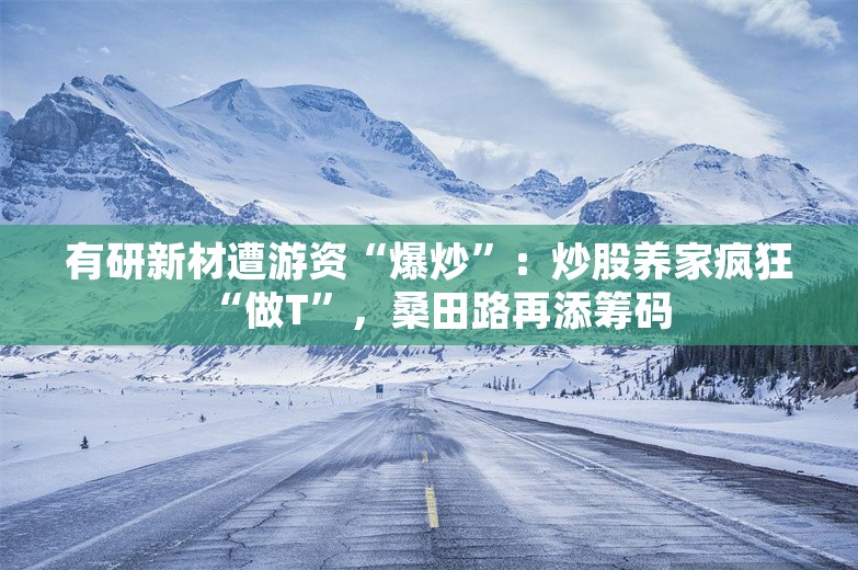 有研新材遭游资“爆炒”：炒股养家疯狂“做T”，桑田路再添筹码