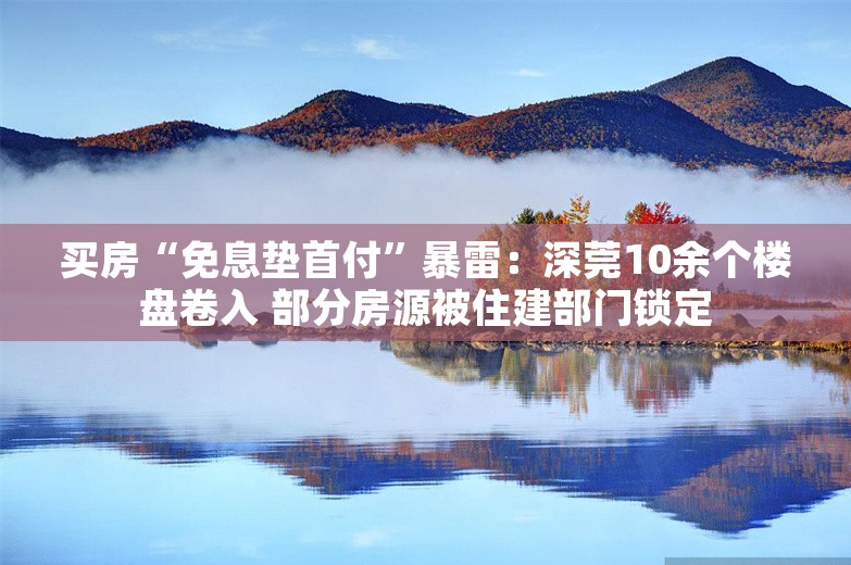 买房“免息垫首付”暴雷：深莞10余个楼盘卷入 部分房源被住建部门锁定