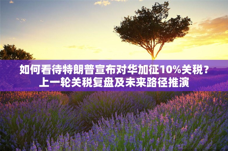 如何看待特朗普宣布对华加征10%关税？上一轮关税复盘及未来路径推演