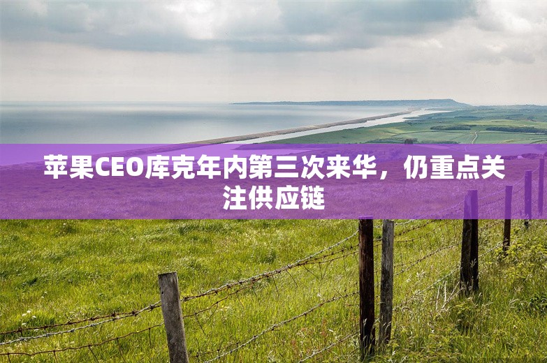 苹果CEO库克年内第三次来华，仍重点关注供应链