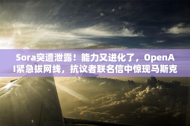 Sora突遭泄露！能力又进化了，OpenAI紧急拔网线，抗议者联名信中惊现马斯克