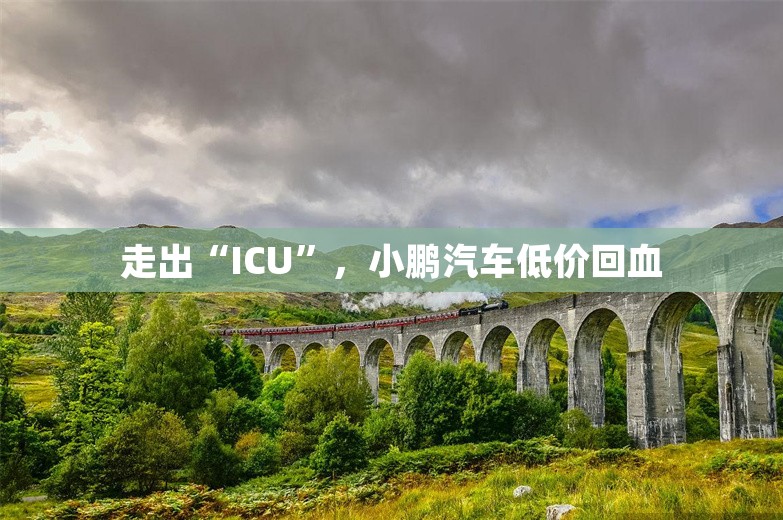 走出“ICU”，小鹏汽车低价回血