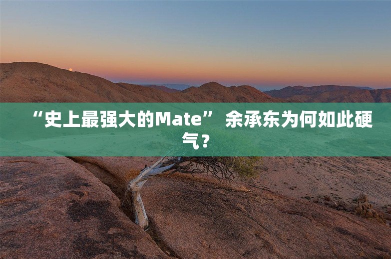 “史上最强大的Mate” 余承东为何如此硬气？