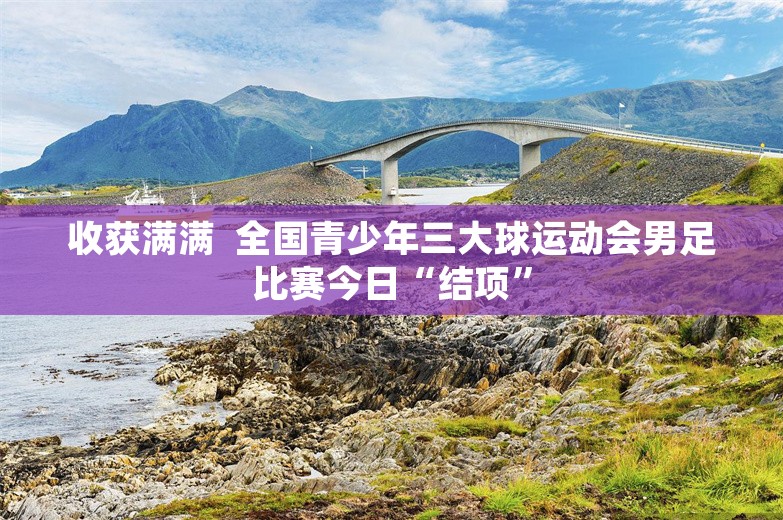 收获满满  全国青少年三大球运动会男足比赛今日“结项”