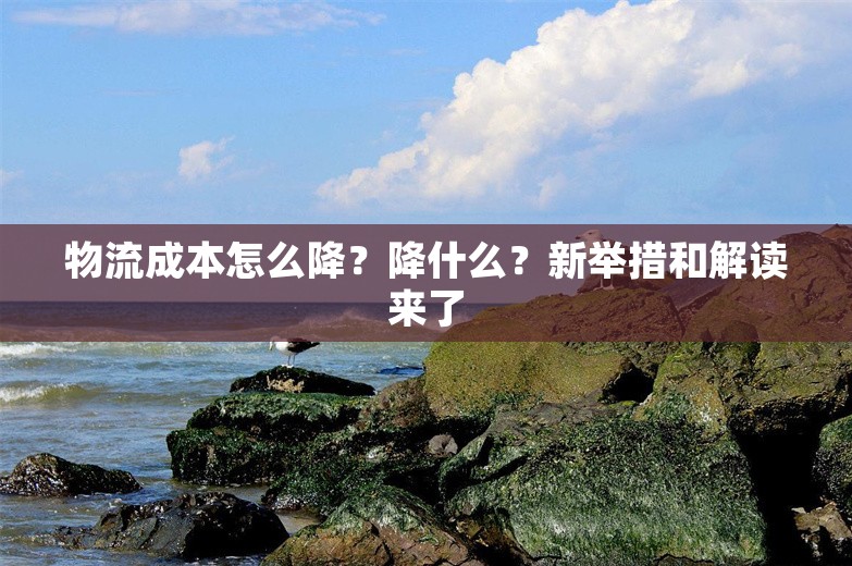 物流成本怎么降？降什么？新举措和解读来了