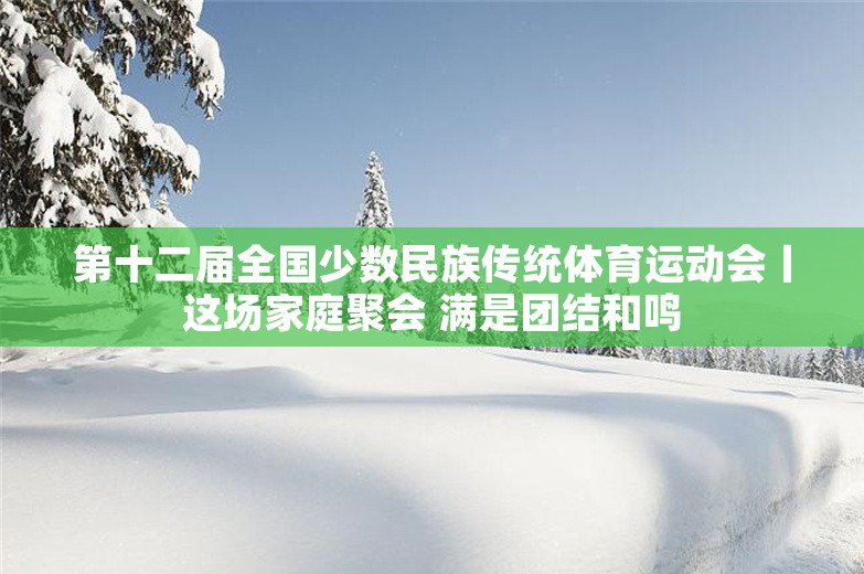 第十二届全国少数民族传统体育运动会丨这场家庭聚会 满是团结和鸣