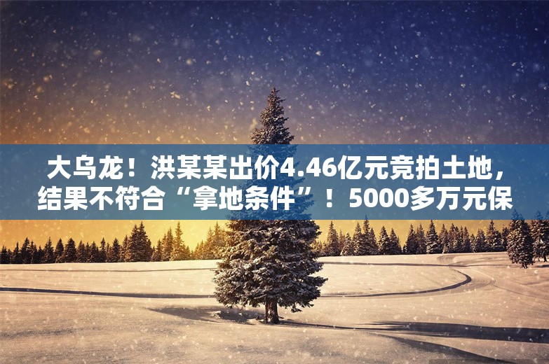 大乌龙！洪某某出价4.46亿元竞拍土地，结果不符合“拿地条件”！5000多万元保证金能否拿回？