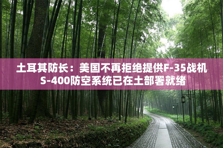 土耳其防长：美国不再拒绝提供F-35战机 S-400防空系统已在土部署就绪