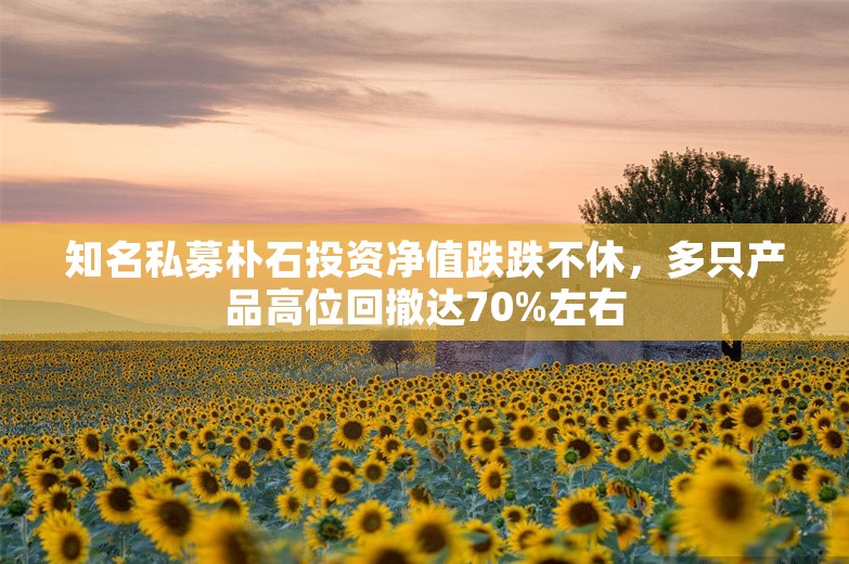 知名私募朴石投资净值跌跌不休，多只产品高位回撤达70%左右