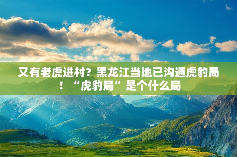 又有老虎进村？黑龙江当地已沟通虎豹局！“虎豹局”是个什么局