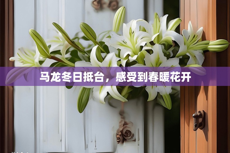 马龙冬日抵台，感受到春暖花开