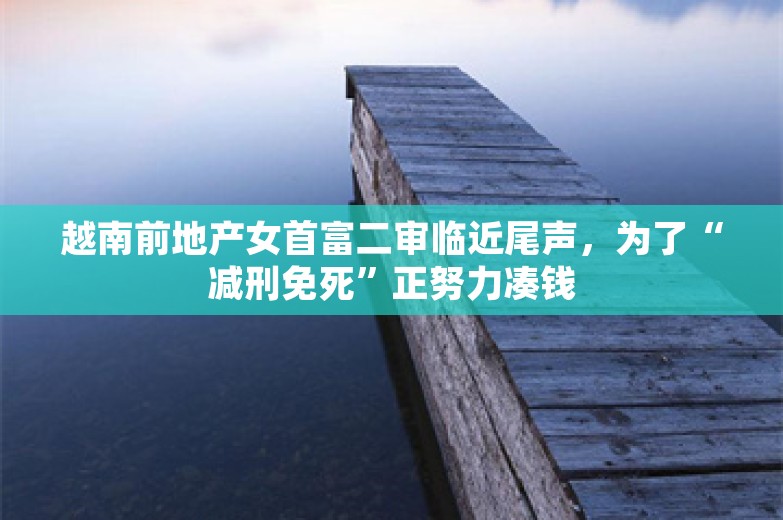 越南前地产女首富二审临近尾声，为了“减刑免死”正努力凑钱