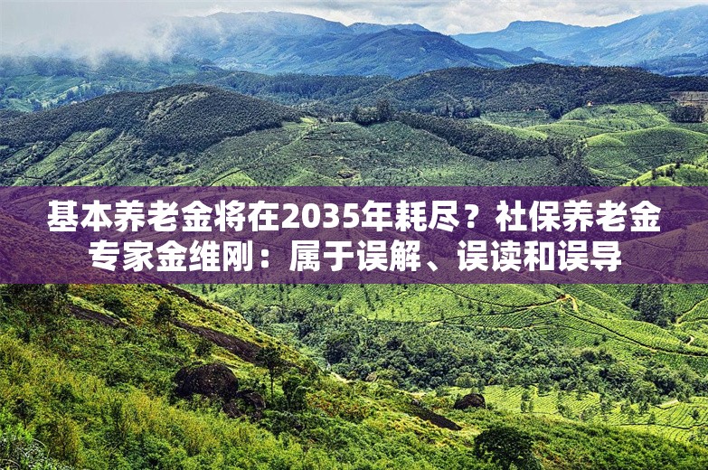 基本养老金将在2035年耗尽？社保养老金专家金维刚：属于误解、误读和误导