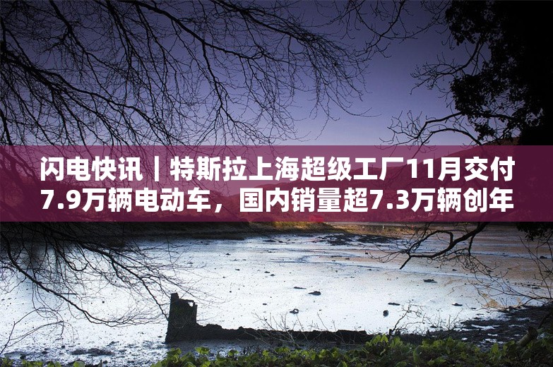 闪电快讯｜特斯拉上海超级工厂11月交付7.9万辆电动车，国内销量超7.3万辆创年内新高