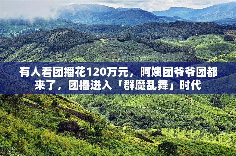 有人看团播花120万元，阿姨团爷爷团都来了，团播进入「群魔乱舞」时代