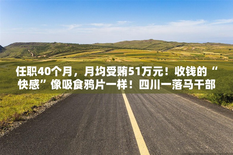 任职40个月，月均受贿51万元！收钱的“快感”像吸食鸦片一样！四川一落马干部被判14年