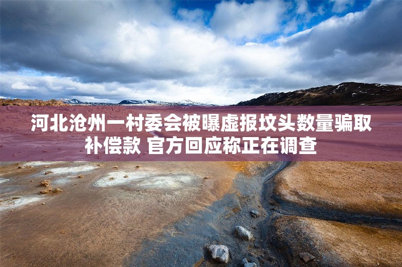 河北沧州一村委会被曝虚报坟头数量骗取补偿款 官方回应称正在调查