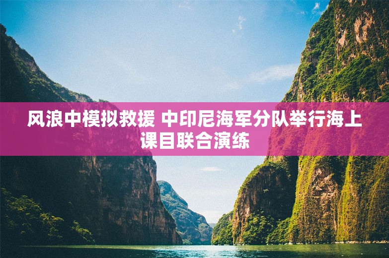 风浪中模拟救援 中印尼海军分队举行海上课目联合演练